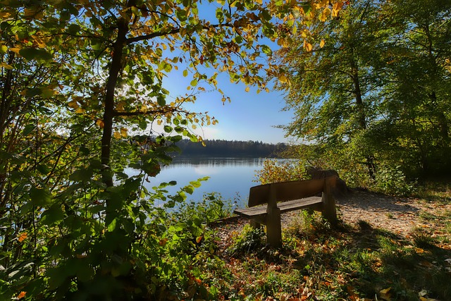 节日期间 节日期间