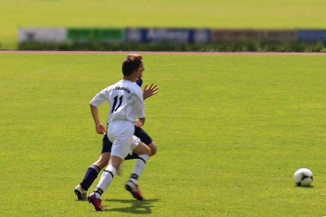 效仿这一模 效仿这一模