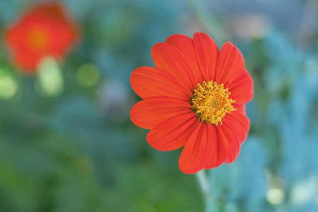 创新领域 创新领域