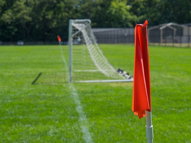 中扮演重要 中扮演重要