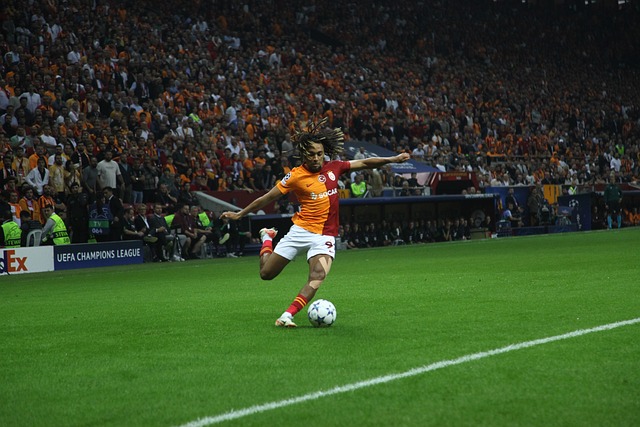 将受到严重 将受到严重