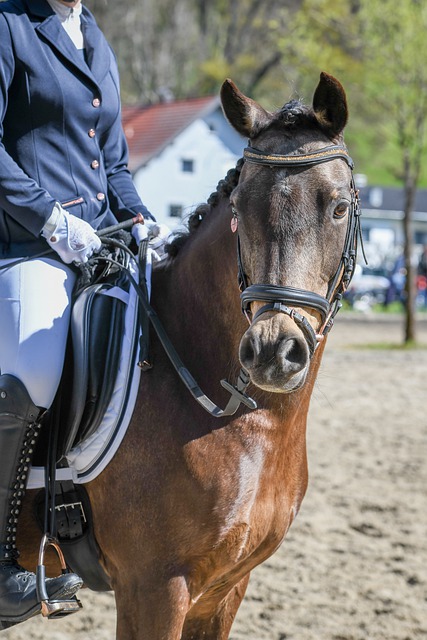 稍有延误 稍有延误