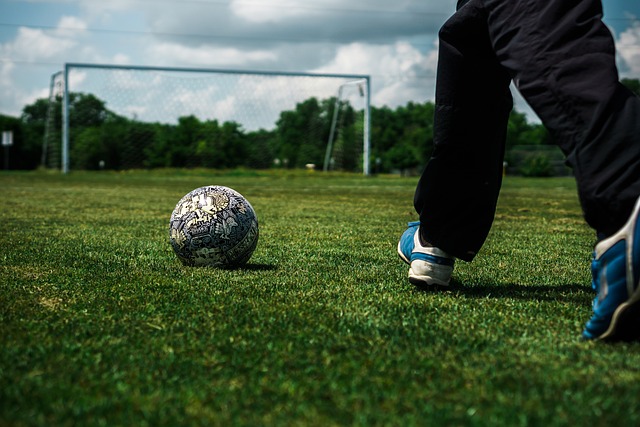 归化球员的 归化球员的