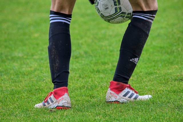 取得了骄人 取得了骄人