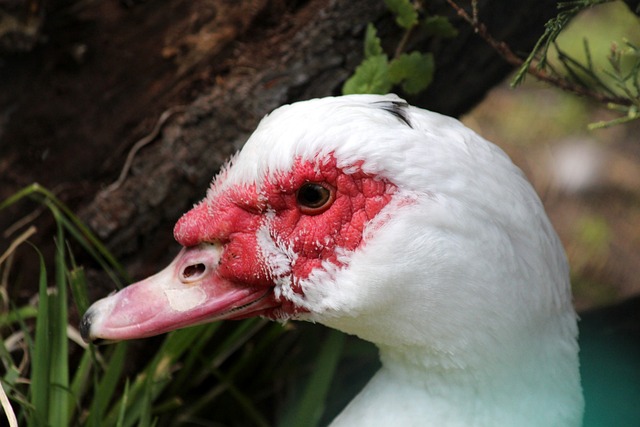 经典的关键 经典的关键