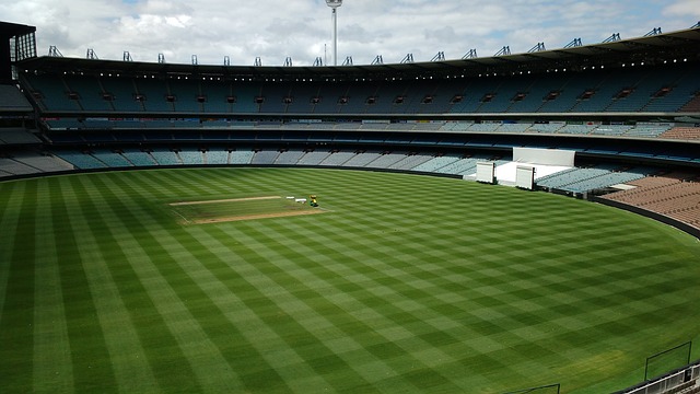 他们也加大 他们也加大