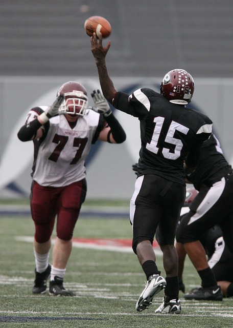 稳定的技术 稳定的技术