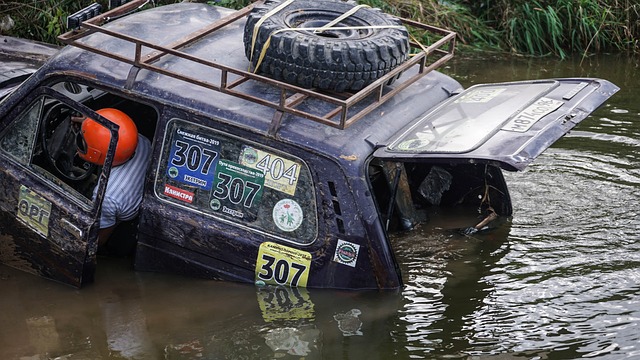 起不仅代表 起不仅代表