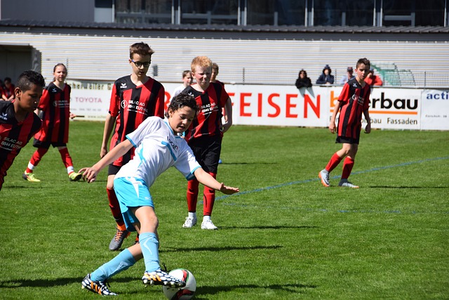 分子用于 分子用于