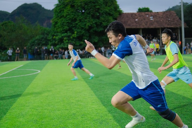 合成该分子 合成该分子