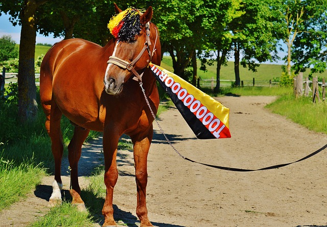 部环境有关 部环境有关