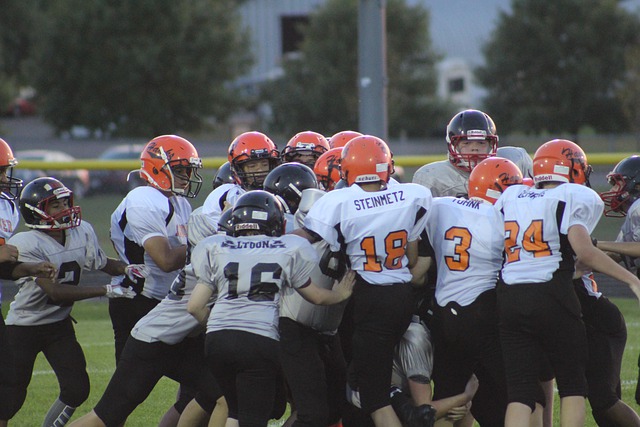 育迷喜愛的 育迷喜愛的