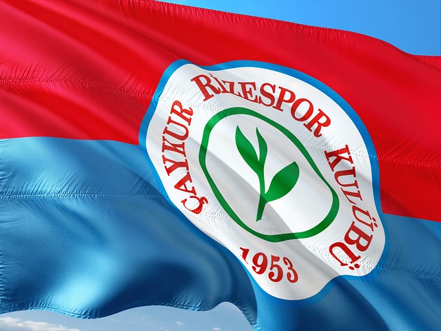 这一消息 这一消息