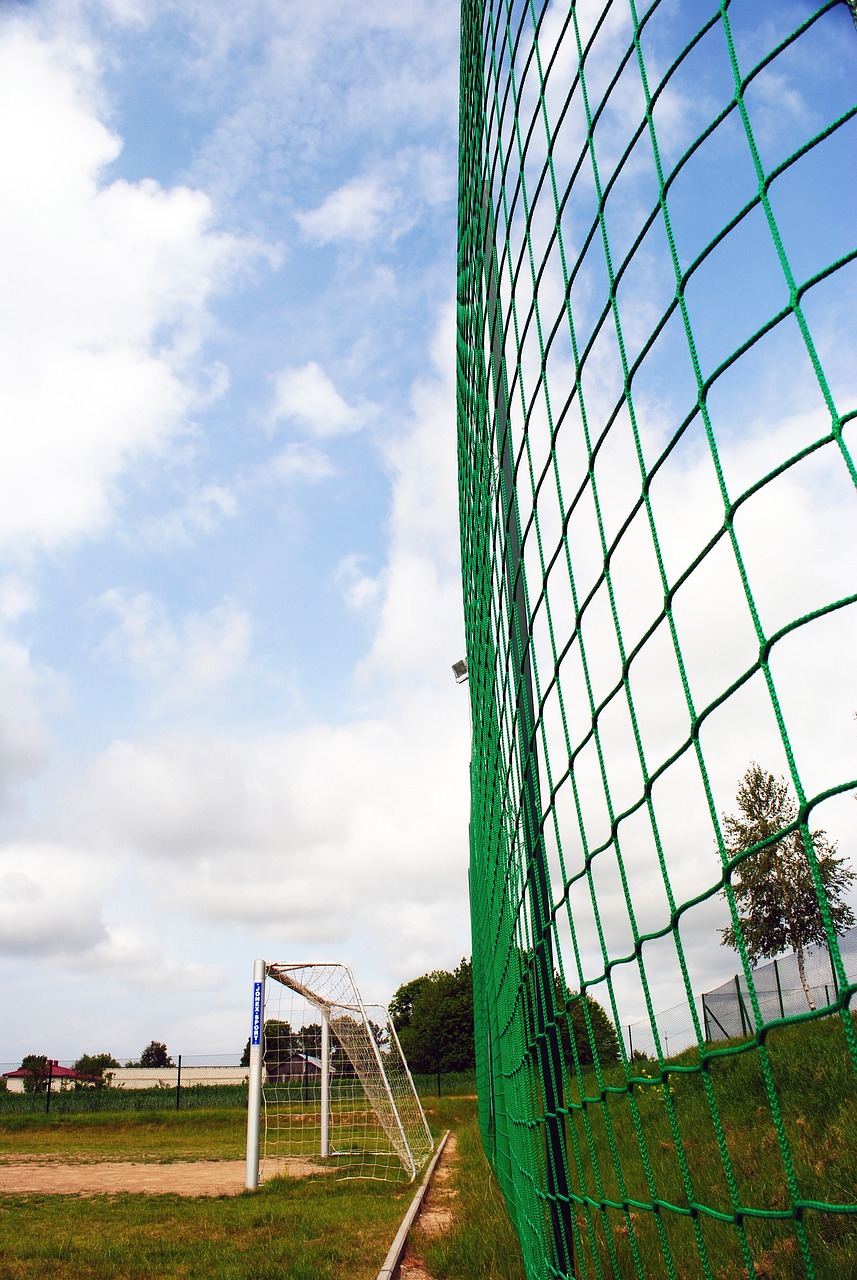 能会选择更 能会选择更