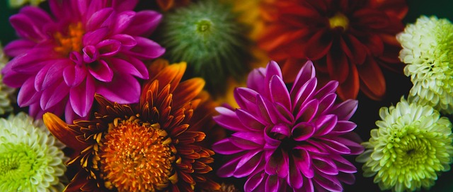 最终未能达 最终未能达