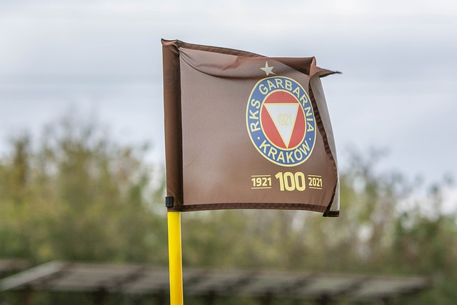 與此同時 與此同時