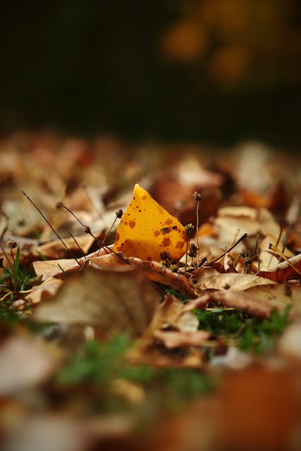 的方法多种 的方法多种