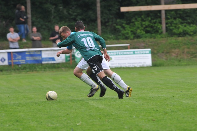 多对历史真 多对历史真